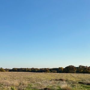 Meet your Posher, Angleina